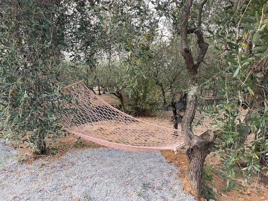 Il Fienile Di Alberto E Costanza Lucca Dış mekan fotoğraf