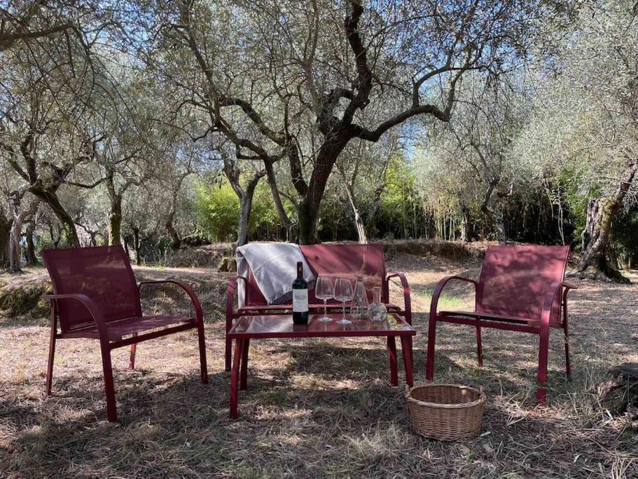 Il Fienile Di Alberto E Costanza Lucca Dış mekan fotoğraf